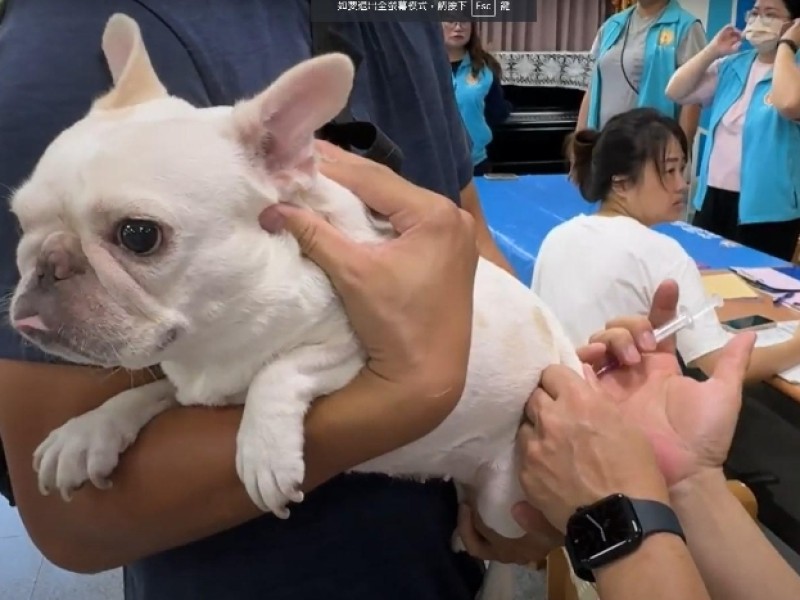 保障全家健康！魏嘉彥呼籲飼主盡速為寵物施打狂犬病疫苗